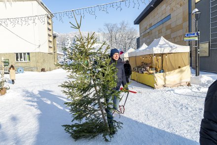 Śląski Jarmark Bożonarodzeniowy